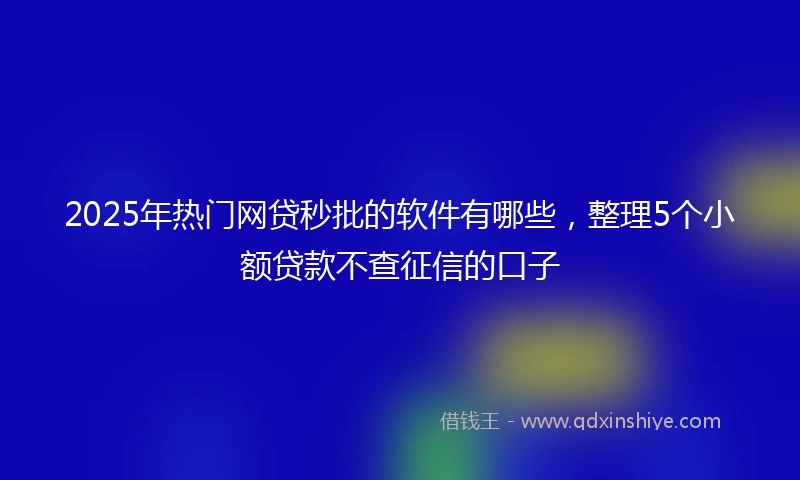 2025年热门网贷秒批的软件有哪些，整理5个小额贷款不查征信的口子