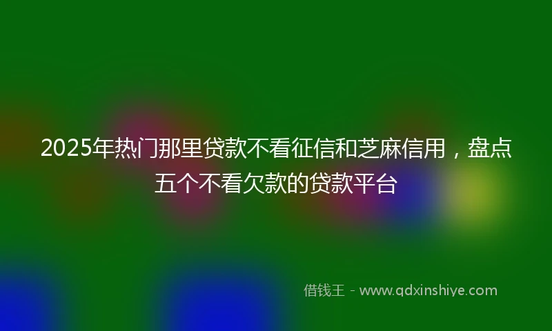 2025年热门那里贷款不看征信和芝麻信用，盘点五个不看欠款的贷款平台