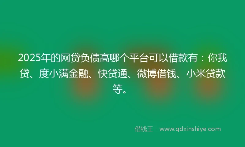 2025年的网贷负债高哪个平台可以借款有：你我贷、度小满金融、快贷通、微博借钱、小米贷款等。