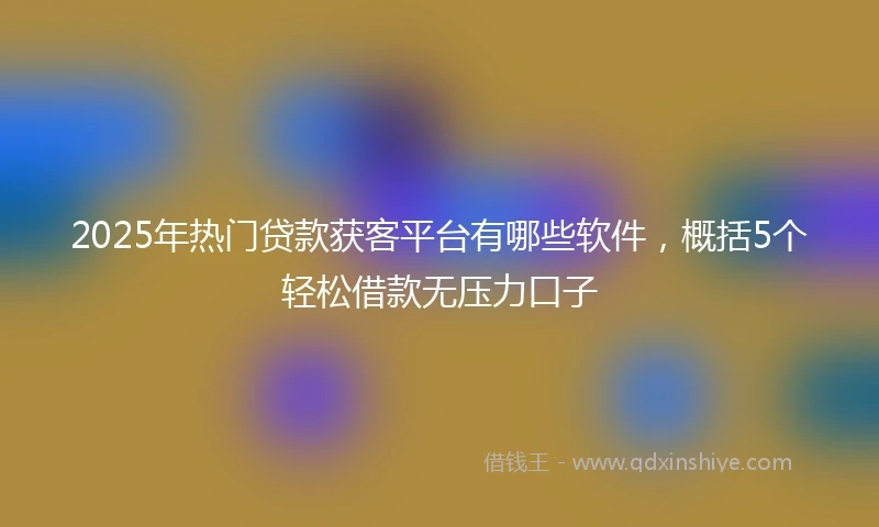 2025年热门贷款获客平台有哪些软件，概括5个轻松借款无压力口子