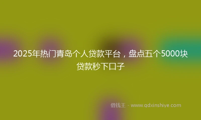 2025年热门青岛个人贷款平台，盘点五个5000块贷款秒下口子