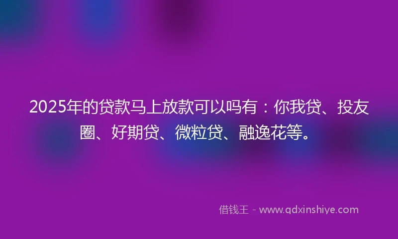 2025年的贷款马上放款可以吗有：你我贷、投友圈、好期贷、微粒贷、融逸花等。