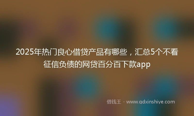 2025年热门良心借贷产品有哪些，汇总5个不看征信负债的网贷百分百下款app