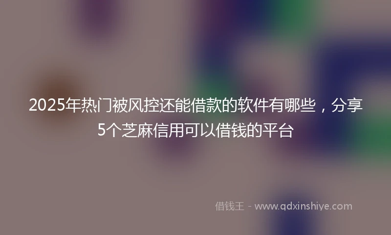 2025年热门被风控还能借款的软件有哪些，分享5个芝麻信用可以借钱的平台