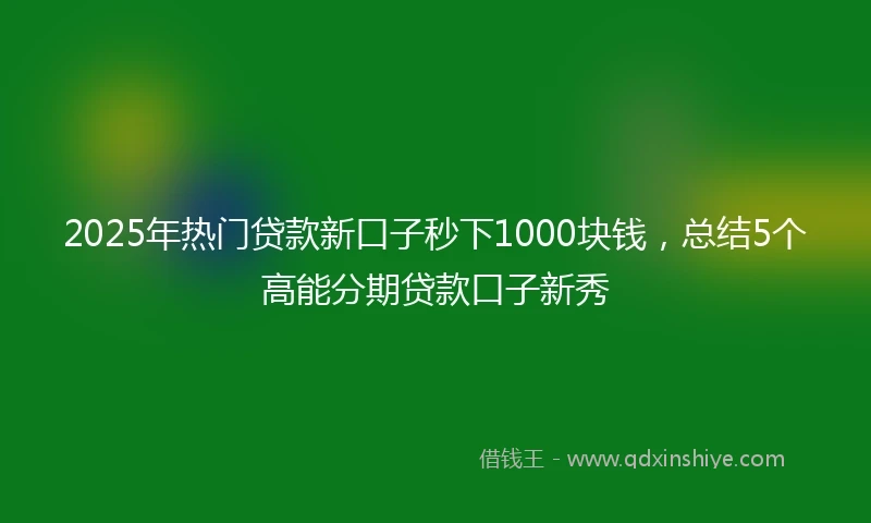 2025年热门贷款新口子秒下1000块钱，总结5个高能分期贷款口子新秀