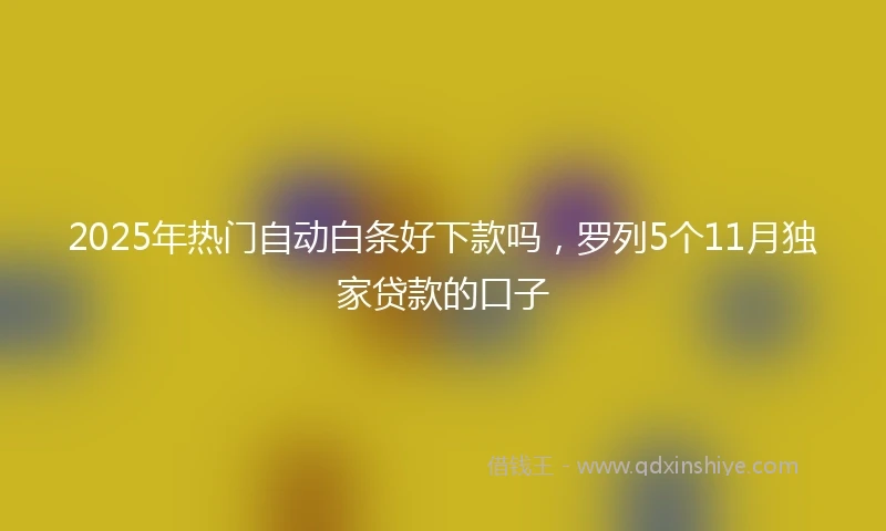 2025年热门自动白条好下款吗，罗列5个11月独家贷款的口子