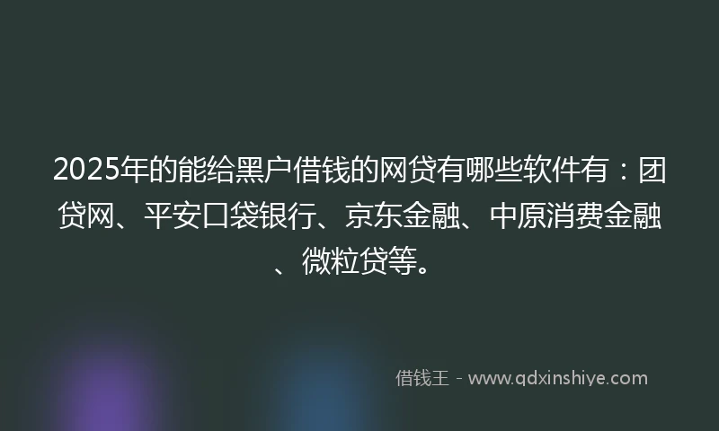 2025年的能给黑户借钱的网贷有哪些软件有：团贷网、平安口袋银行、京东金融、中原消费金融、微粒贷等。