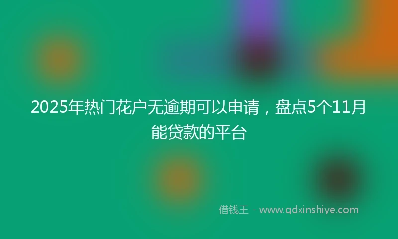 2025年热门花户无逾期可以申请，盘点5个11月能贷款的平台