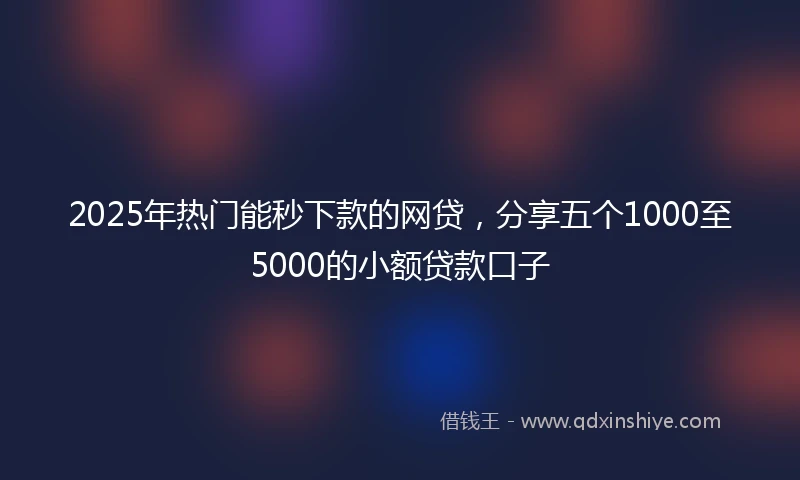2025年热门能秒下款的网贷，分享五个1000至5000的小额贷款口子