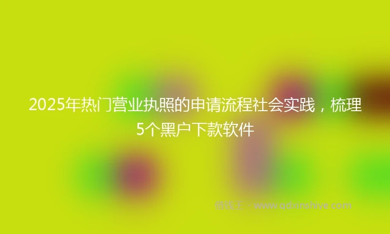 2025年热门营业执照的申请流程社会实践，梳理5个黑户下款软件