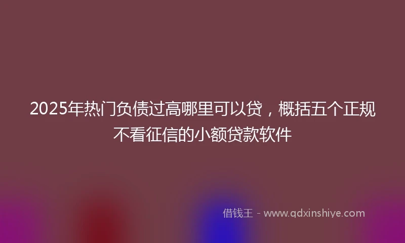 2025年热门负债过高哪里可以贷，概括五个正规不看征信的小额贷款软件