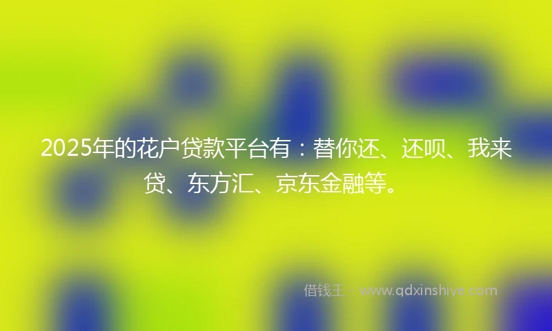 2025年的花户贷款平台有：替你还、还呗、我来贷、东方汇、京东金融等。