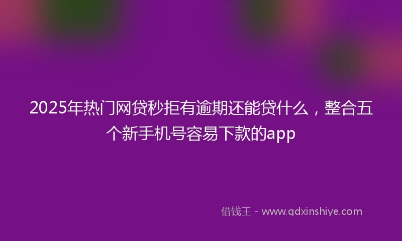 2025年热门网贷秒拒有逾期还能贷什么，整合五个新手机号容易下款的app