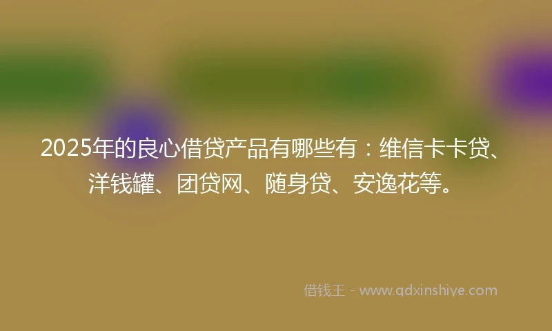 2025年的良心借贷产品有哪些有：维信卡卡贷、洋钱罐、团贷网、随身贷、安逸花等。