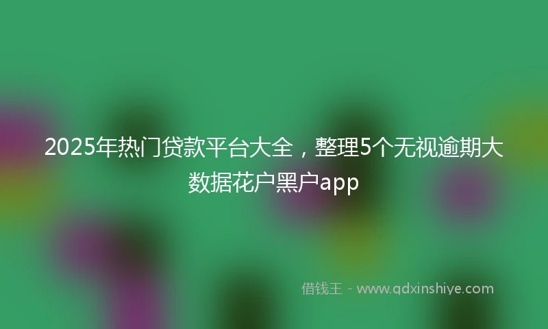 2025年热门贷款平台大全，整理5个无视逾期大数据花户黑户app