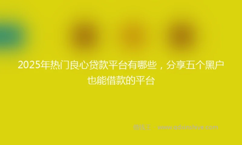 2025年热门良心贷款平台有哪些，分享五个黑户也能借款的平台