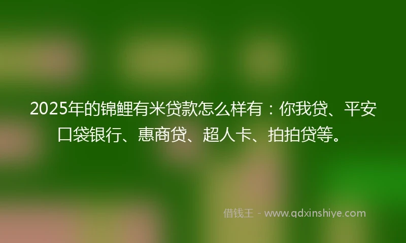 2025年的锦鲤有米贷款怎么样有：你我贷、平安口袋银行、惠商贷、超人卡、拍拍贷等。