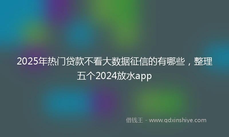 2025年热门贷款不看大数据征信的有哪些，整理五个2024放水app