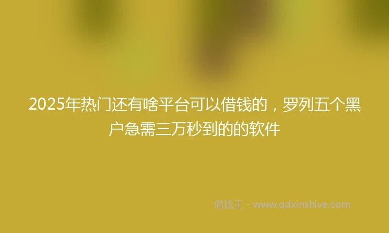 2025年热门还有啥平台可以借钱的，罗列五个黑户急需三万秒到的的软件