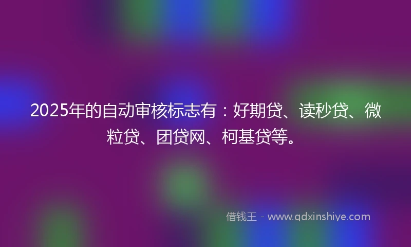 2025年的自动审核标志有：好期贷、读秒贷、微粒贷、团贷网、柯基贷等。