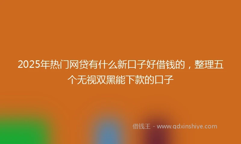 2025年热门网贷有什么新口子好借钱的，整理五个无视双黑能下款的口子