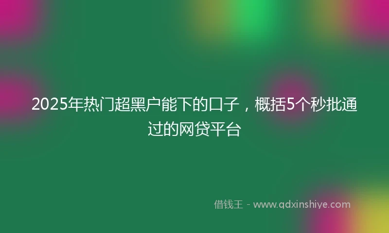 2025年热门超黑户能下的口子，概括5个秒批通过的网贷平台