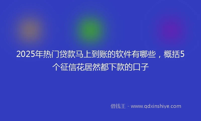 2025年热门贷款马上到账的软件有哪些，概括5个征信花居然都下款的口子