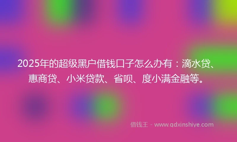 2025年的超级黑户借钱口子怎么办有：滴水贷、惠商贷、小米贷款、省呗、度小满金融等。