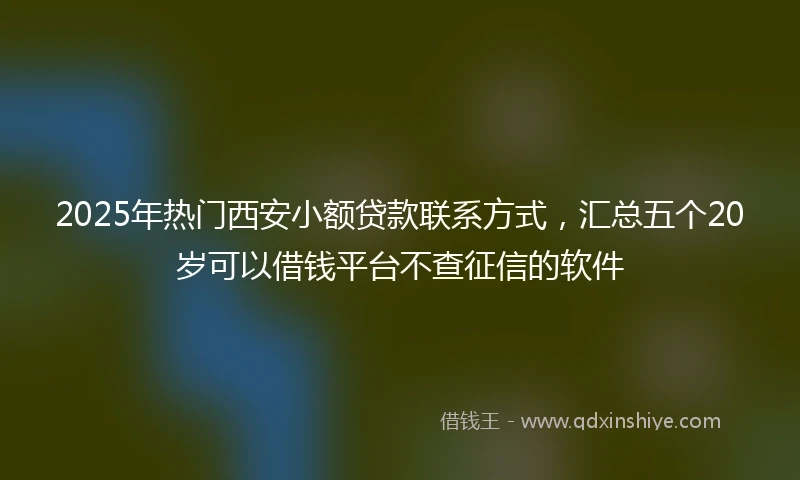 2025年热门西安小额贷款联系方式，汇总五个20岁可以借钱平台不查征信的软件