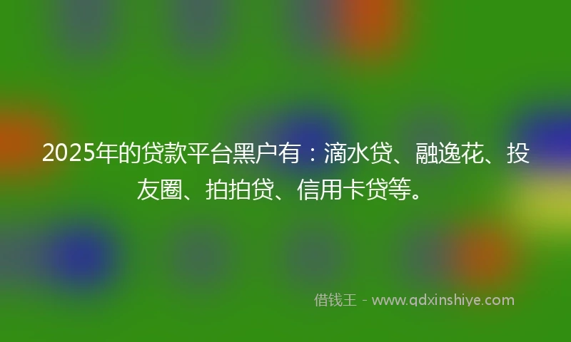 2025年的贷款平台黑户有：滴水贷、融逸花、投友圈、拍拍贷、信用卡贷等。