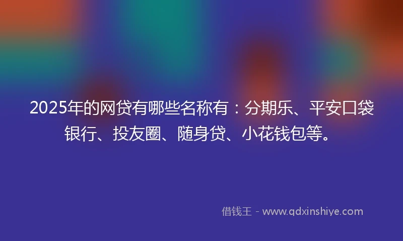 2025年的网贷有哪些名称有：分期乐、平安口袋银行、投友圈、随身贷、小花钱包等。