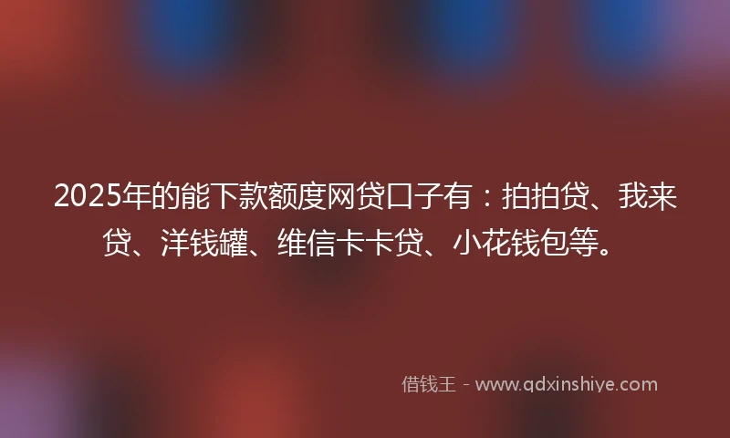 2025年的能下款额度网贷口子有：拍拍贷、我来贷、洋钱罐、维信卡卡贷、小花钱包等。