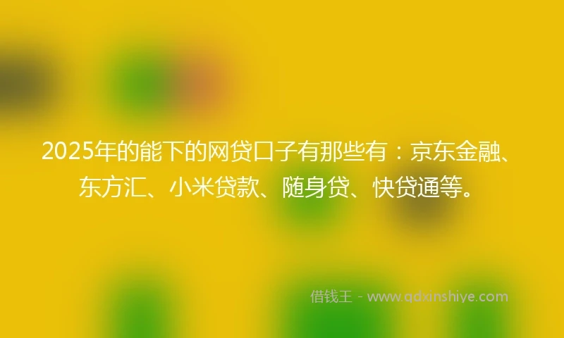 2025年的能下的网贷口子有那些有：京东金融、东方汇、小米贷款、随身贷、快贷通等。