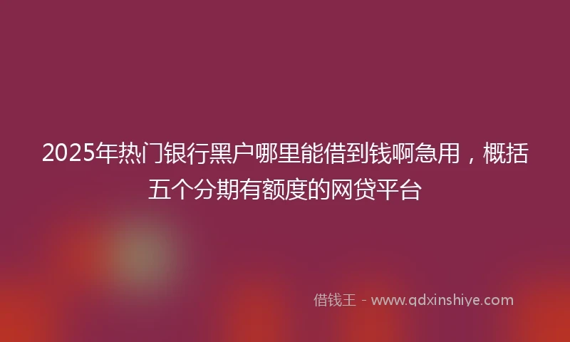 2025年热门银行黑户哪里能借到钱啊急用，概括五个分期有额度的网贷平台