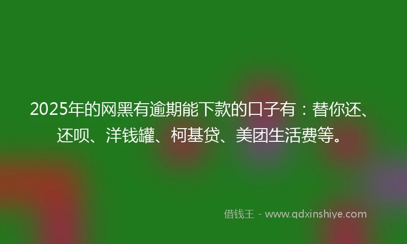 2025年的网黑有逾期能下款的口子有：替你还、还呗、洋钱罐、柯基贷、美团生活费等。