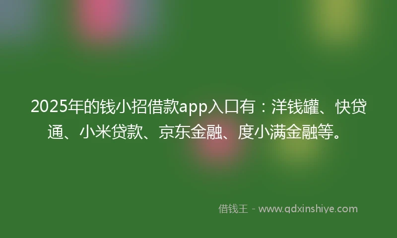 2025年的钱小招借款app入口有：洋钱罐、快贷通、小米贷款、京东金融、度小满金融等。