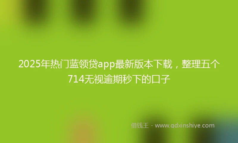 2025年热门蓝领贷app最新版本下载，整理五个714无视逾期秒下的口子