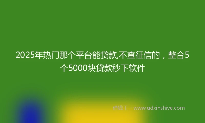 2025年热门那个平台能贷款,不查征信的，整合5个5000块贷款秒下软件
