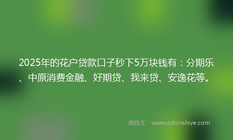 2025年的花户贷款口子秒下5万块钱有：分期乐、中原消费金融、好期贷、我来贷、安逸花等。
