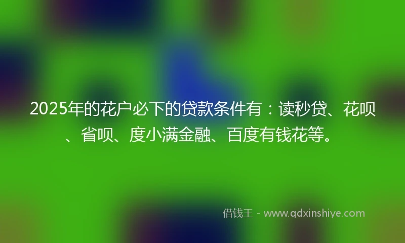 2025年的花户必下的贷款条件有：读秒贷、花呗、省呗、度小满金融、百度有钱花等。