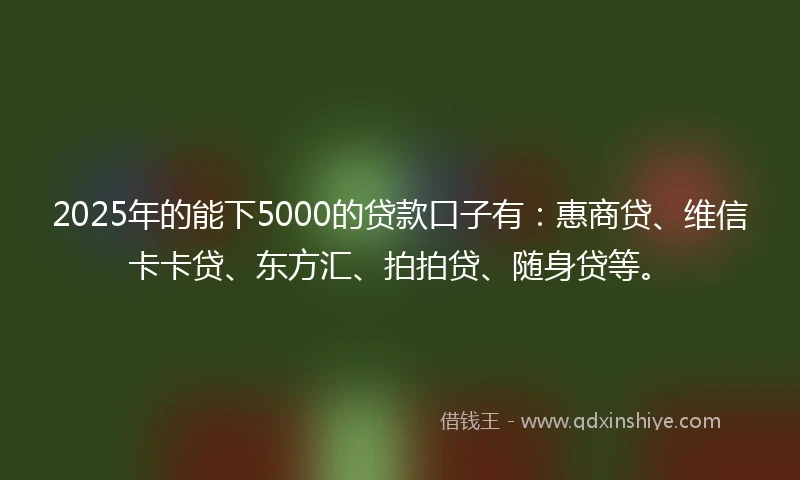2025年的能下5000的贷款口子有：惠商贷、维信卡卡贷、东方汇、拍拍贷、随身贷等。