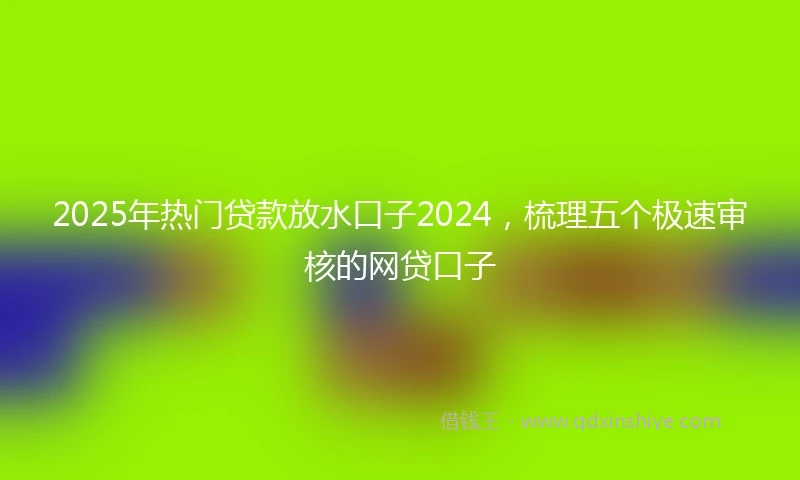 2025年热门贷款放水口子2024，梳理五个极速审核的网贷口子