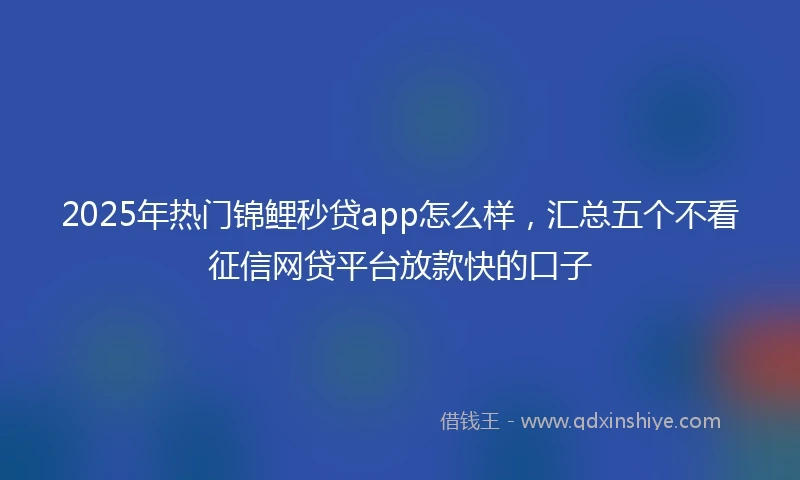 2025年热门锦鲤秒贷app怎么样，汇总五个不看征信网贷平台放款快的口子