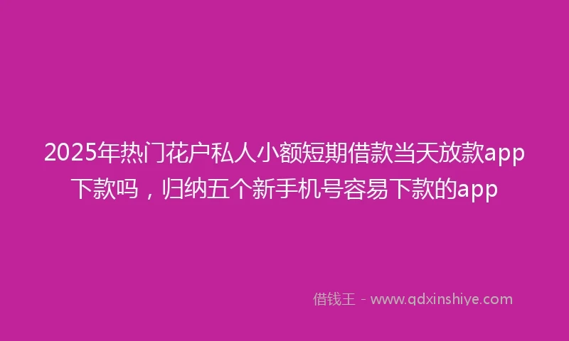 2025年热门花户私人小额短期借款当天放款app下款吗，归纳五个新手机号容易下款的app