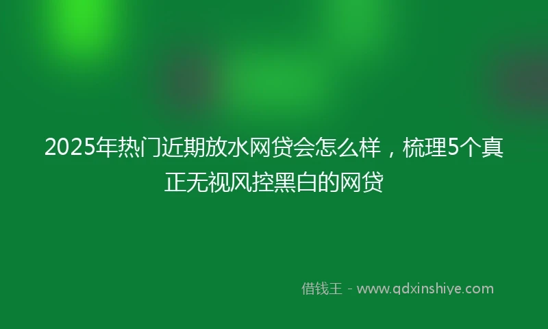 2025年热门近期放水网贷会怎么样，梳理5个真正无视风控黑白的网贷