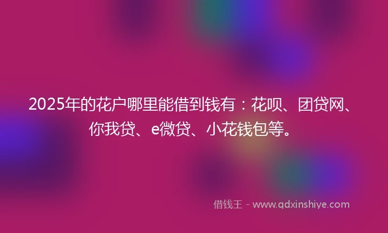 2025年的花户哪里能借到钱有：花呗、团贷网、你我贷、e微贷、小花钱包等。