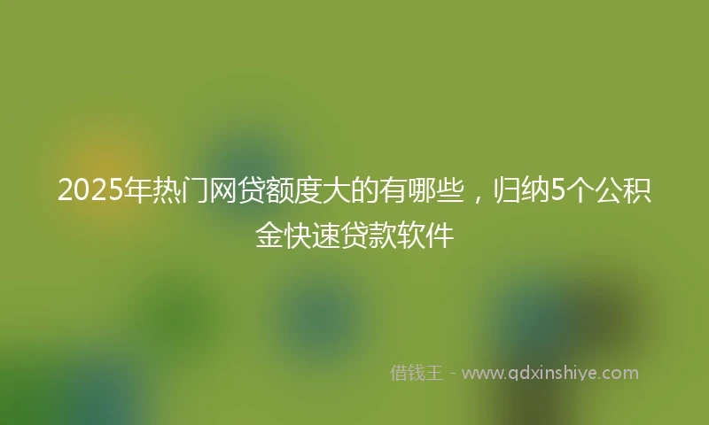 2025年热门网贷额度大的有哪些，归纳5个公积金快速贷款软件