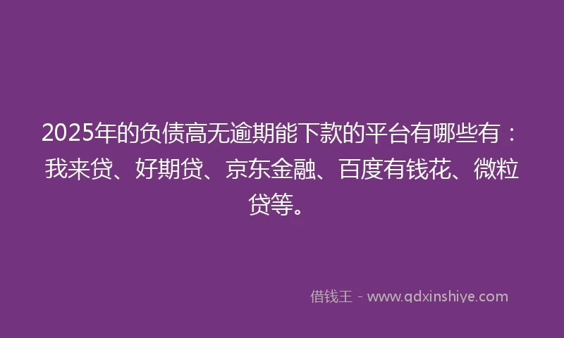 2025年的负债高无逾期能下款的平台有哪些有：我来贷、好期贷、京东金融、百度有钱花、微粒贷等。