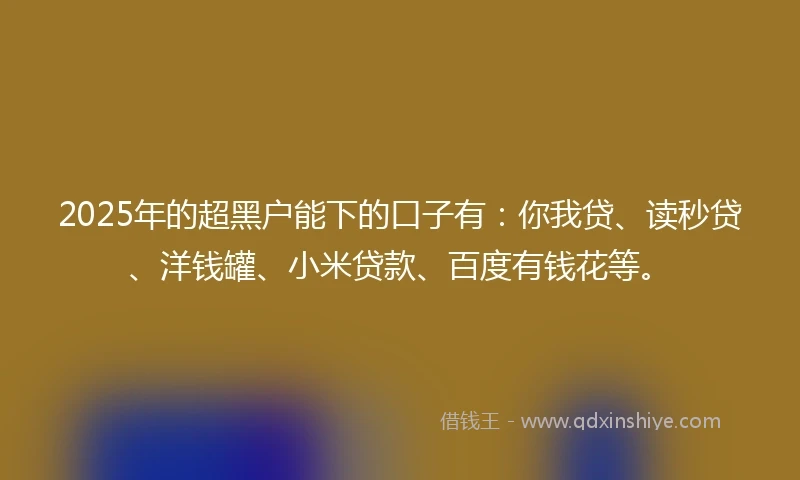 2025年的超黑户能下的口子有:你我贷、读秒贷、洋钱罐、小米贷款、百度有钱花等。
