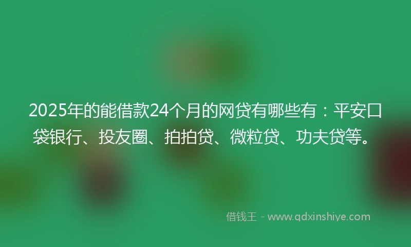 2025年的能借款24个月的网贷有哪些有：平安口袋银行、投友圈、拍拍贷、微粒贷、功夫贷等。